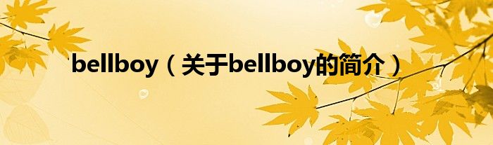 bellboy（关于bellboy的简介）
