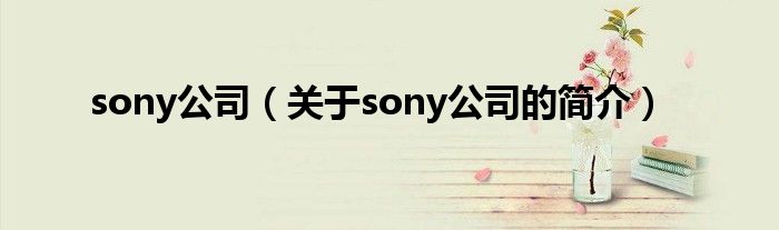sony公司（关于sony公司的简介）