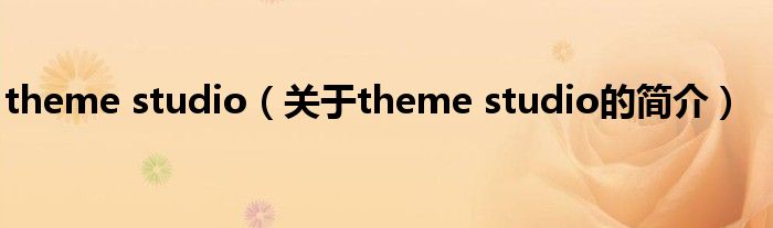 theme studio（关于theme studio的简介）