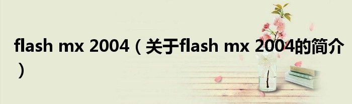 flash mx 2004（关于flash mx 2004的简介）
