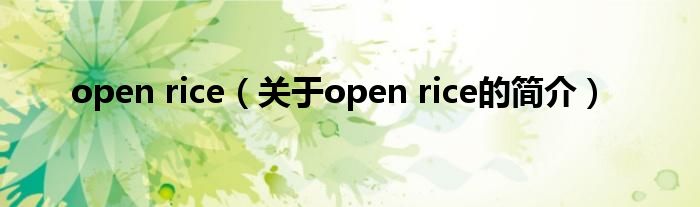 open rice（关于open rice的简介）