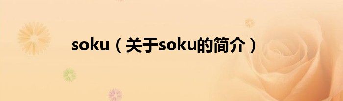 soku（关于soku的简介）