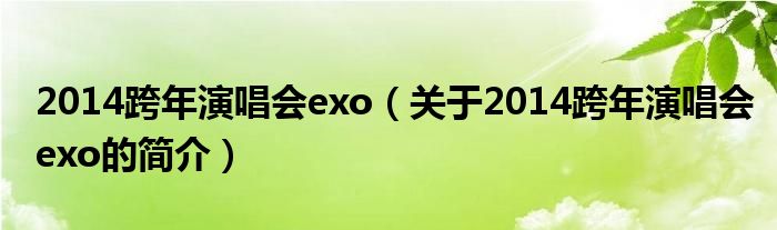 2014跨年演唱会exo（关于2014跨年演唱会exo的简介）