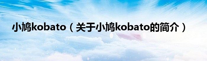 小鸠kobato（关于小鸠kobato的简介）