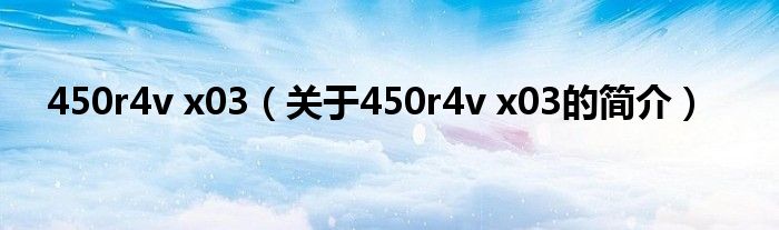 450r4v x03（关于450r4v x03的简介）
