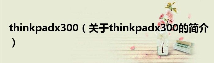 thinkpadx300（关于thinkpadx300的简介）