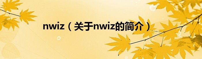 nwiz（关于nwiz的简介）
