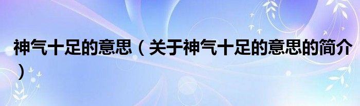 神气十足的意思（关于神气十足的意思的简介）