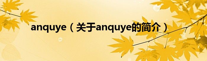 anquye（关于anquye的简介）