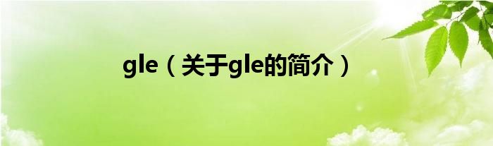 gle（关于gle的简介）