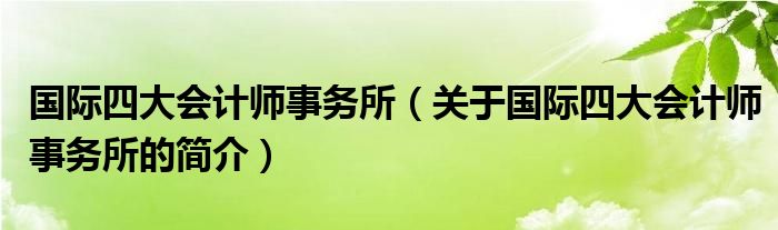 国际四大会计师事务所（关于国际四大会计师事务所的简介）