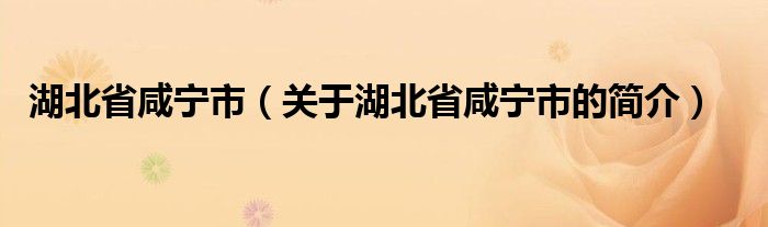 湖北省咸宁市（关于湖北省咸宁市的简介）