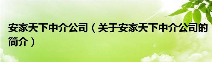 安家天下中介公司（关于安家天下中介公司的简介）