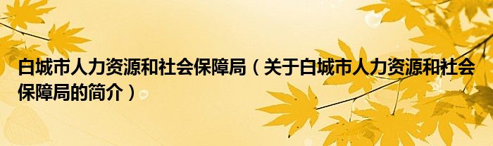 白城市人力资源和社会保障局（关于白城市人力资源和社会保障局的简介）