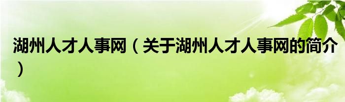 湖州人才人事网（关于湖州人才人事网的简介）