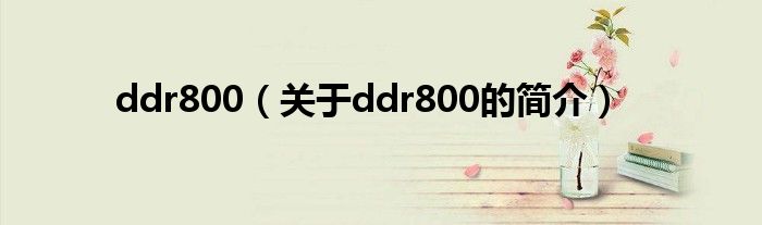 ddr800（关于ddr800的简介）
