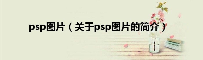 psp图片（关于psp图片的简介）