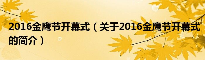 2016金鹰节开幕式（关于2016金鹰节开幕式的简介）