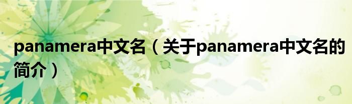 panamera中文名（关于panamera中文名的简介）