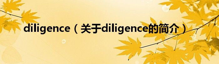 diligence（关于diligence的简介）