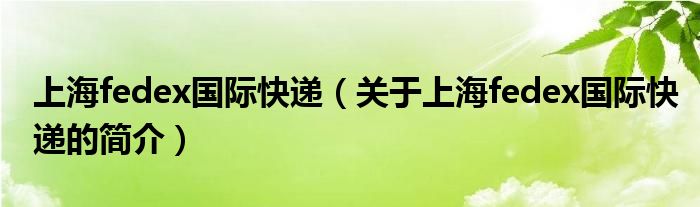 上海fedex国际快递（关于上海fedex国际快递的简介）