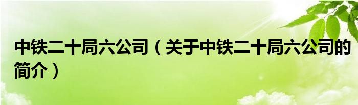 中铁二十局六公司（关于中铁二十局六公司的简介）