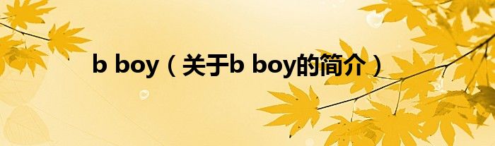 b boy（关于b boy的简介）