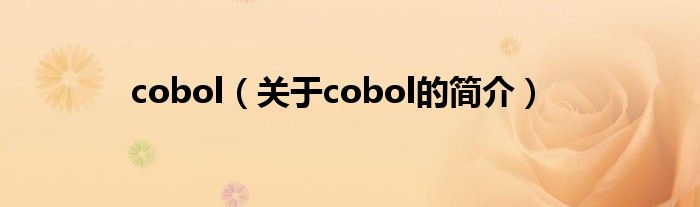 cobol（关于cobol的简介）