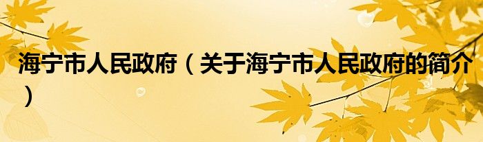 海宁市人民政府（关于海宁市人民政府的简介）