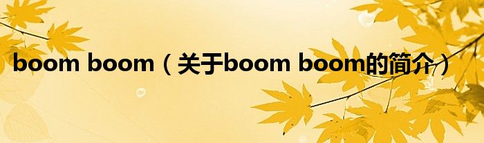 boom boom（关于boom boom的简介）