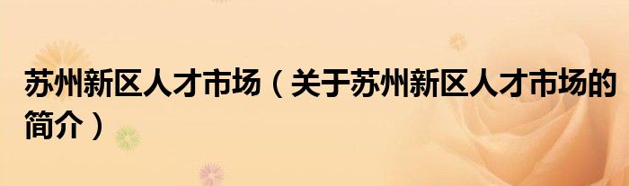 苏州新区人才市场（关于苏州新区人才市场的简介）