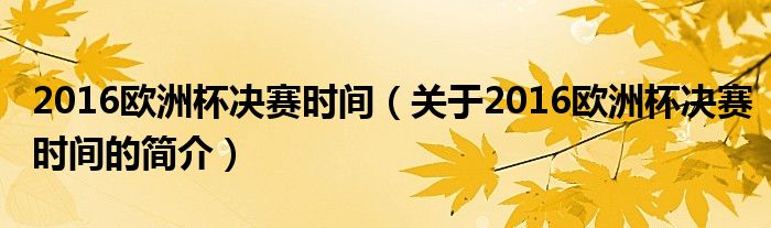 2016欧洲杯决赛时间（关于2016欧洲杯决赛时间的简介）