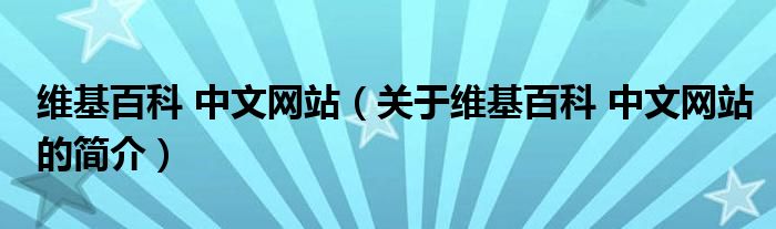 维基百科 中文网站（关于维基百科 中文网站的简介）