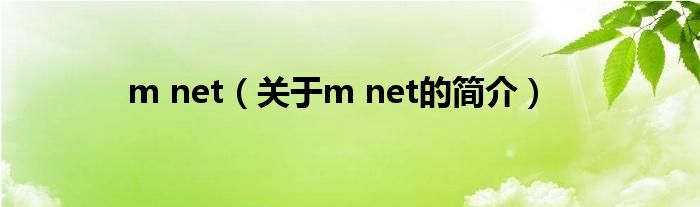 m net（关于m net的简介）