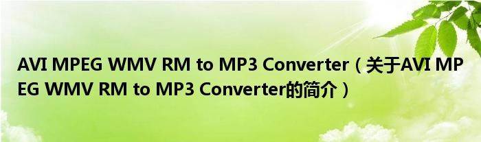 AVI MPEG WMV RM to MP3 Converter（关于AVI MPEG WMV RM to MP3 Converter的简介）