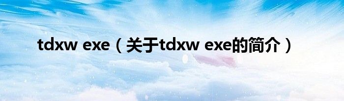tdxw exe（关于tdxw exe的简介）