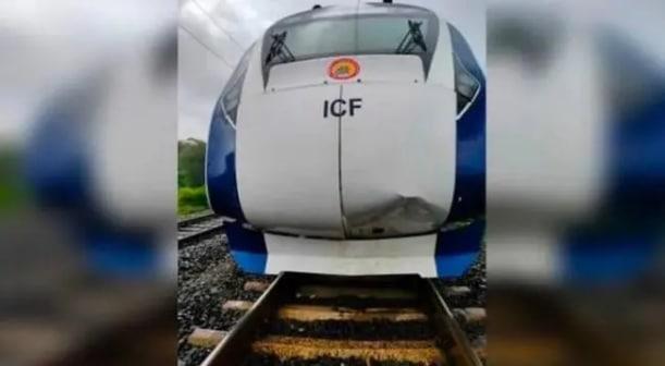 印度“半高铁”列车撞牛受损