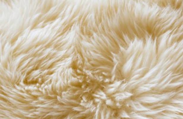 密苏里羊毛是什么毛呀？