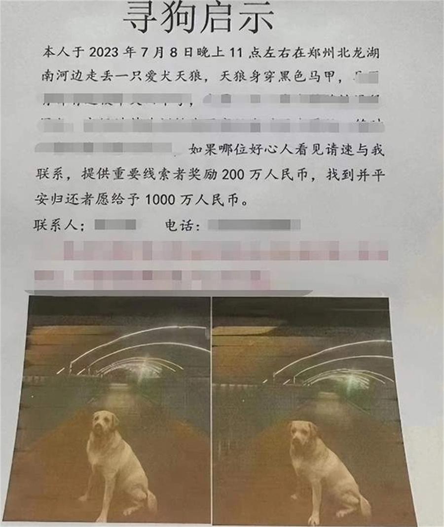 郑州男子悬赏1000万寻狗，最终仅给5000元奖励