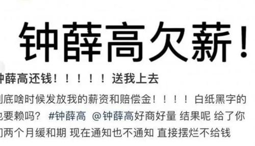 钟薛高回应欠薪：积极解决相关纠纷目前运营一切正常