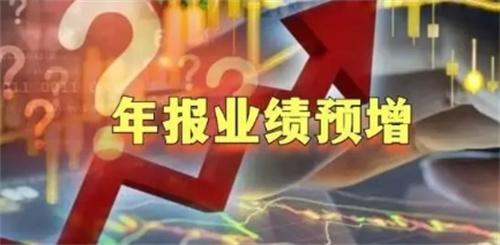 年报业绩预告11家净利超百亿（关于年报业绩的简介）