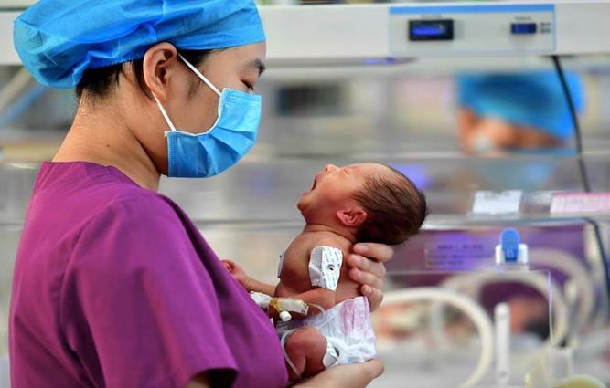 中国各省2023年人口增长与出生率分析